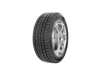 PROTECTOR TYRE WINTER 195/65 R15 TS790