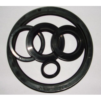 OIL SEALING GP 48*72*12