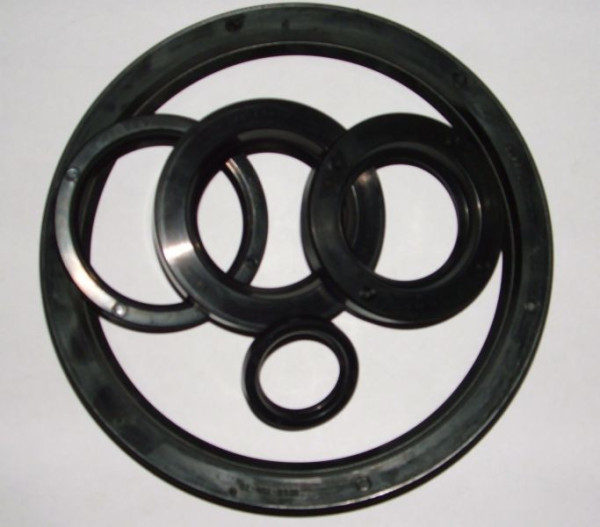 OIL SEALING GP 48*72*12