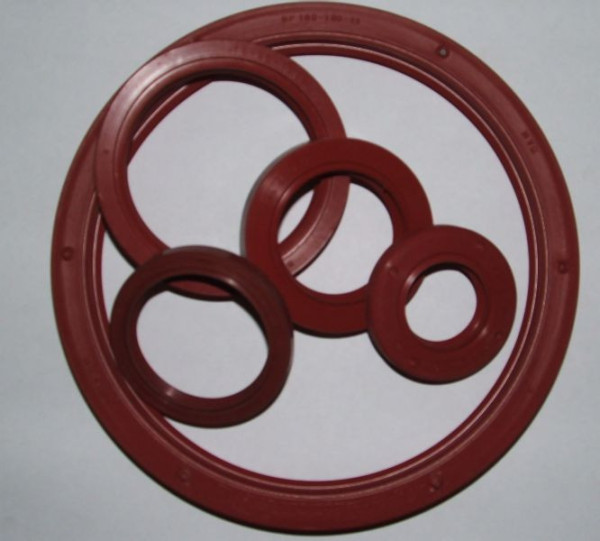 OIL SEALING Si GP 85*110*13 DPV PN029403