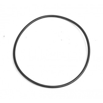 SEALING RING 95X3