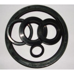 OIL SEALING G 80*110*13