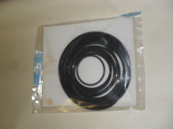 SET OF GASKETS TELESCOPIC CYLINDER TGG 2700 2701 Č