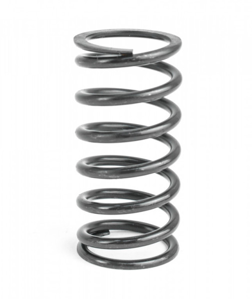 OUTER SPRING
