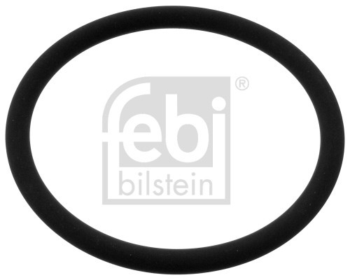 SEALING RING DAF