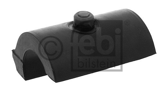 STABILIZER BUSHING REAR DAF LF45