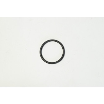 SEALING RING