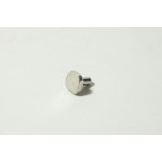RIVET
