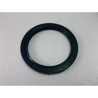 SEALING RING Daf