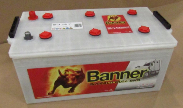 BATTERY Banner 12V/225Ah