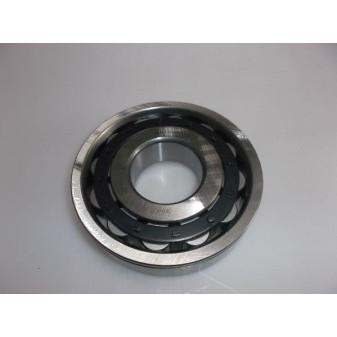 ROLLER BEARING N410