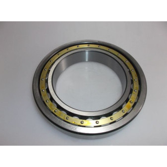 ROLLER BEARING NU 10