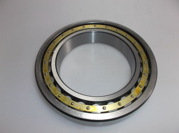 ROLLER BEARING NU 10