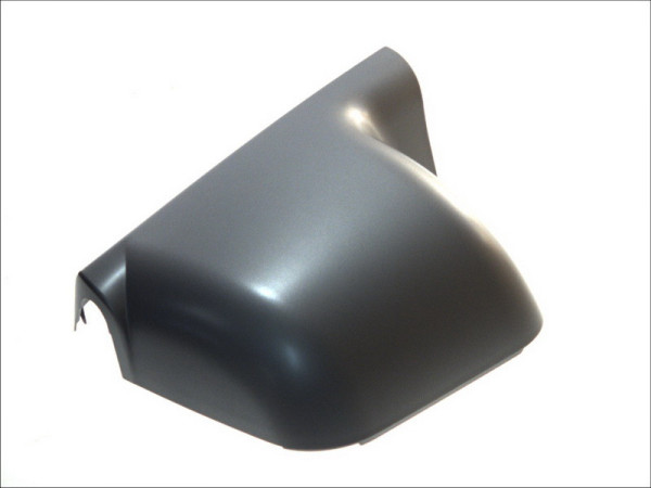 COVER MIRROR š. RENAULT P, SILVER, 303x244