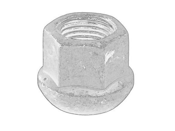WHEEL NUT Nissan/RVI