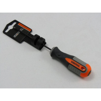 SCREWDRIVER PZ0x100mm