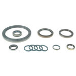 SET OF GASKETS