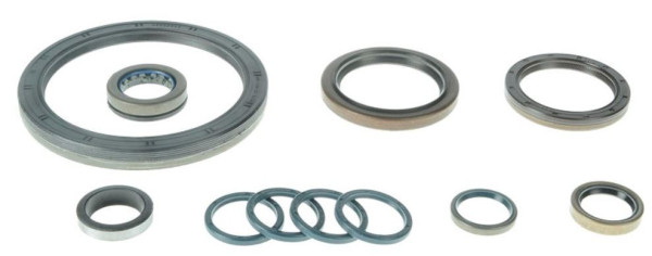 SET OF GASKETS