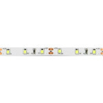 LED pásek 10mm, denní bílá, 60xLED5050/m, IP65, cívka 5m