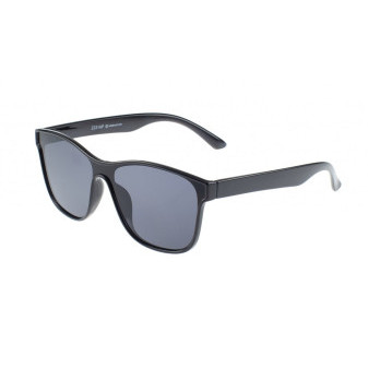 Brýle sluneční Men Black Z256AP/Z255P