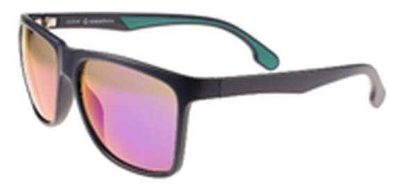 Brýle sluneční Uni Black Z252P/P