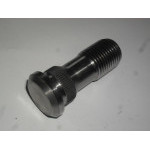 DISK SCREW M 22X2