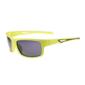Brýle sluneční polarizační Sport/Z519DP/P