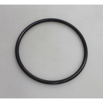 SEALING RING 115X105