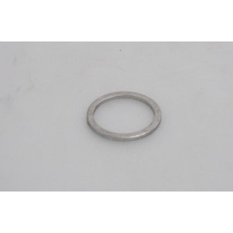 SEALING RING Al 12*6*1   029310.3R