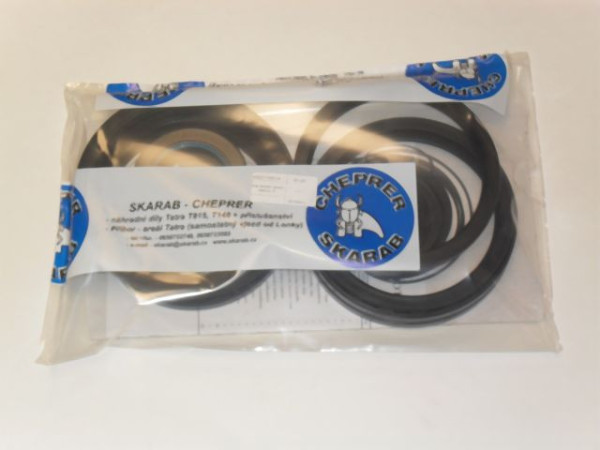 SET OF GASKETS