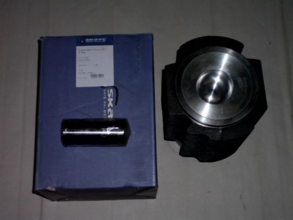 CYLINDER C/W PISTON