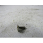 HOLLOW RIVET 3X10