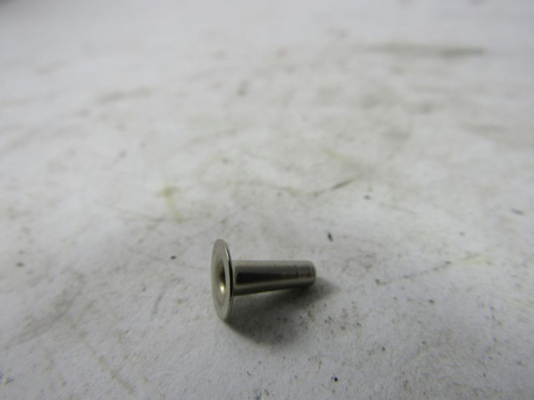 HOLLOW RIVET 3X10