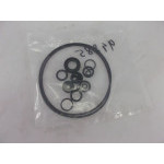 SET OF GASKETS INJECTION PUMP 1549 CH