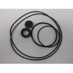 SET OF GASKETS CONDENSATE SUMP CH