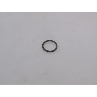 SEALING RING ED 33