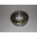 BEARING NJ 315