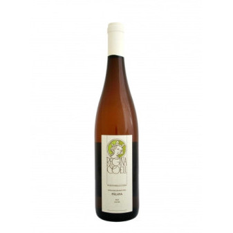Pálava - moravské zemské 13,0% - Regina Coeli 0.75 l
