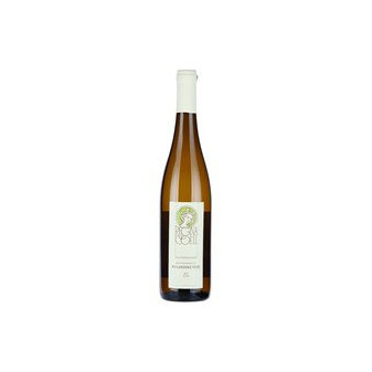 Rulandské šedé - Pinot gris -moravské zemské 12,5% - Regina Coeli 0.75 l