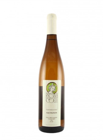 Sauvignon - staré hory - kabinetní suché - regina Coeli - 0,75L