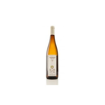 Sauvignon - Karlov - pozdní sběr 12,5% - Regina Coeli 0.75 l