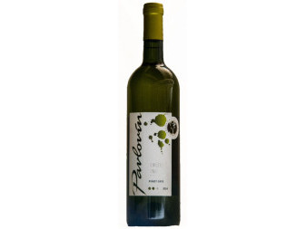 Pinot Gris - bílé odrůdové - vinařství Pavlovín - 0,75L