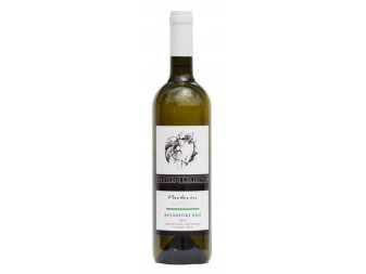 Rulandské bílé - bílé suché - PS - vinařství Pavlovín - 0,75L