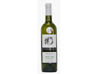 Sauvignon - bílé přívlastkové suché - PS - vinařství Pavlovín - 0.75L