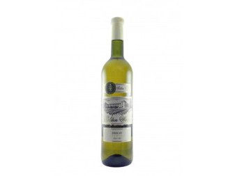 Muscat Golden Wine- bílé polosladké- 0.75 L - Španělsko -