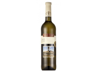 Chardonnay - selection - bílé pozdní sběr suché - vinařství u Kapličky - 0.75L