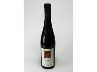 Dornferdel - jakostní - suché - vinařství Adámkovo -  0.75 l