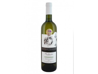 Sauvignon  - bílé přívlastkové polosladké - PS - vinařství Pavlovín - 0.75L