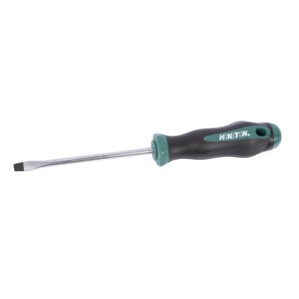 SCREWDRIVER plochý 5,5x100